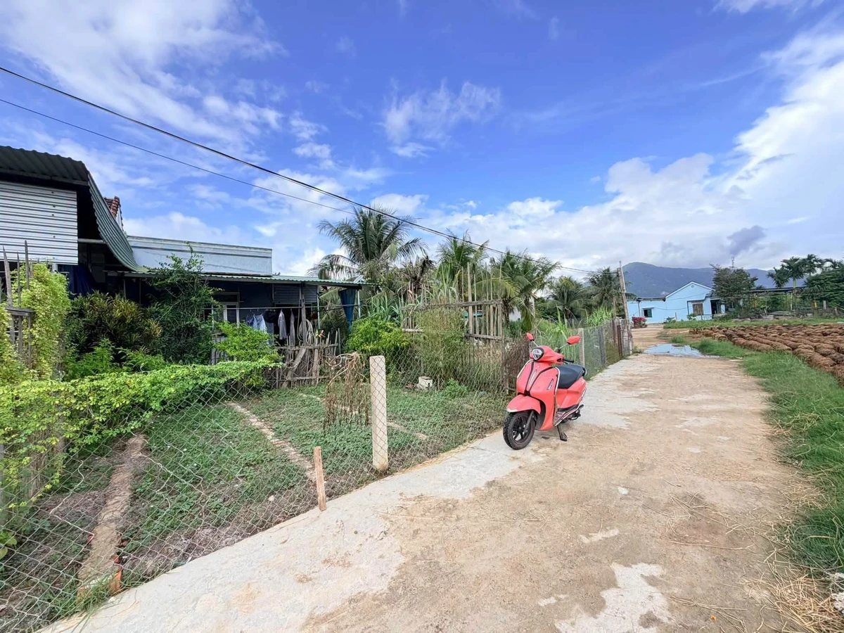 Bán đất 105m² tại Phong Phú, Nhà Bè 270 triệu - Ảnh thu nhỏ 2