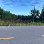 Bán đất Lagi 500m² mặt tiền Lý Nam Đế 2 tỷ 2 - Ảnh thu nhỏ 3
