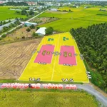 Bán 1.000m2 đất thổ cư và đất lúa gần ngã tư Lạc Tấn, giá 1,25 tỷ - Ảnh thu nhỏ 4