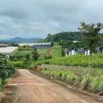 Bán đất 200m² vừa Đà Lạt 559 triệu - Ảnh thu nhỏ 2