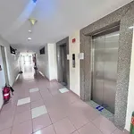 Bán căn hộ Bông Sao A 48.6m2 1PN Quận 8 2.58 tỷ - Ảnh thu nhỏ 3