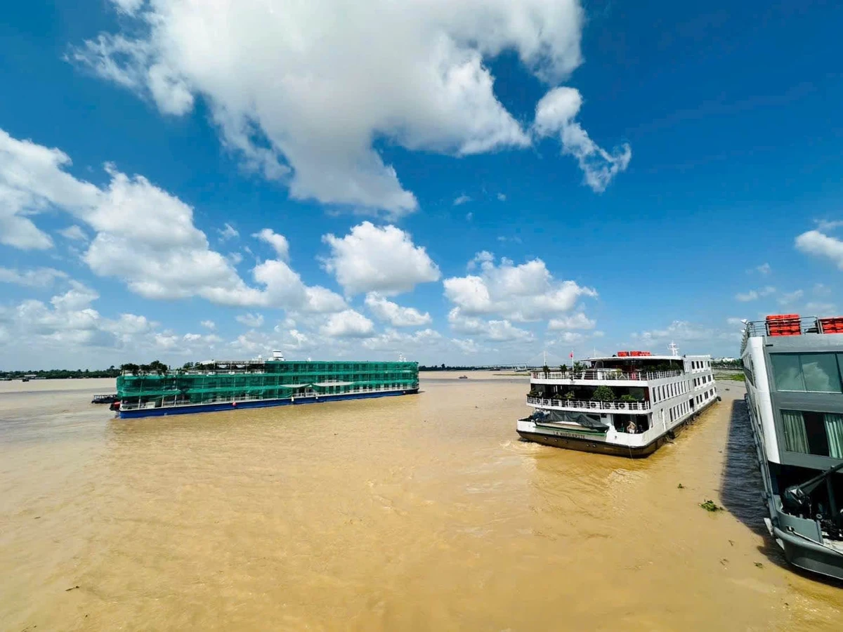 Bán 5000m2 đất 2 mặt tiền sông Cửa Tiểu và Tỉnh lộ 864 tại Hòa Định, Chợ Gạo, Tiền Giang - Ảnh thu nhỏ 2