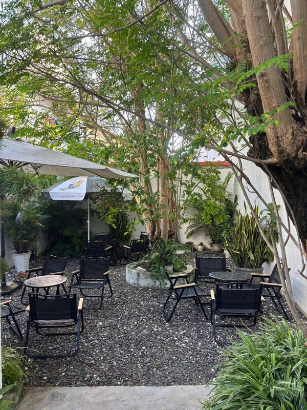 Sang nhượng quán Thờ Ơ Coffee 6×33m, Tuy Hòa, Phú Yên, 250 triệu