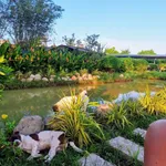 Bán biệt thự nghỉ dưỡng 2553m2 mặt tiền Tỉnh Lộ 7, Thái Mỹ, Củ Chi, 5PN, giá 13,5 tỷ - Ảnh thu nhỏ 4