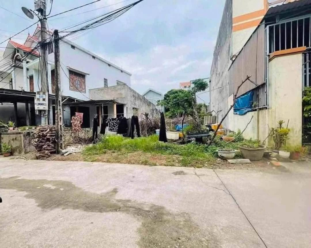 Bán đất 8x19m Lê Thành Đồng, Bình Tân - Ảnh thu nhỏ 3