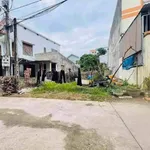 Bán đất 8x19m Lê Thành Đồng, Bình Tân - Ảnh thu nhỏ 3