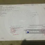Đất sào nghỉ dưỡng 1850m2 view sông - full hồng - đường ô tô - ra đường lớn QH 30m chỉ 100m giá rẻ - Ảnh thu nhỏ 2