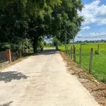 Bán đất thổ cư 240m² Xã An Ninh Đông 600 triệu - Ảnh thu nhỏ 4