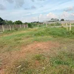 Bán đất thổ cư 110m² thôn 3 Hàm Liêm, sổ hồng riêng, giá 580 triệu - Ảnh thu nhỏ 3