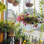Bán nhà mặt tiền 28m2, 4 tầng, Bình Thạnh, 5 tỷ - Ảnh thu nhỏ 4