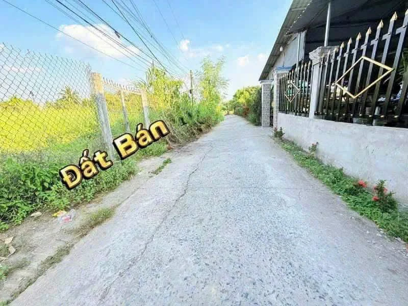 Bán đất thổ cư 5x55m (275m2) giá 1 tỷ 299 triệu tại Thạnh Đức, Bến Lức, Long An - Ảnh thu nhỏ 4