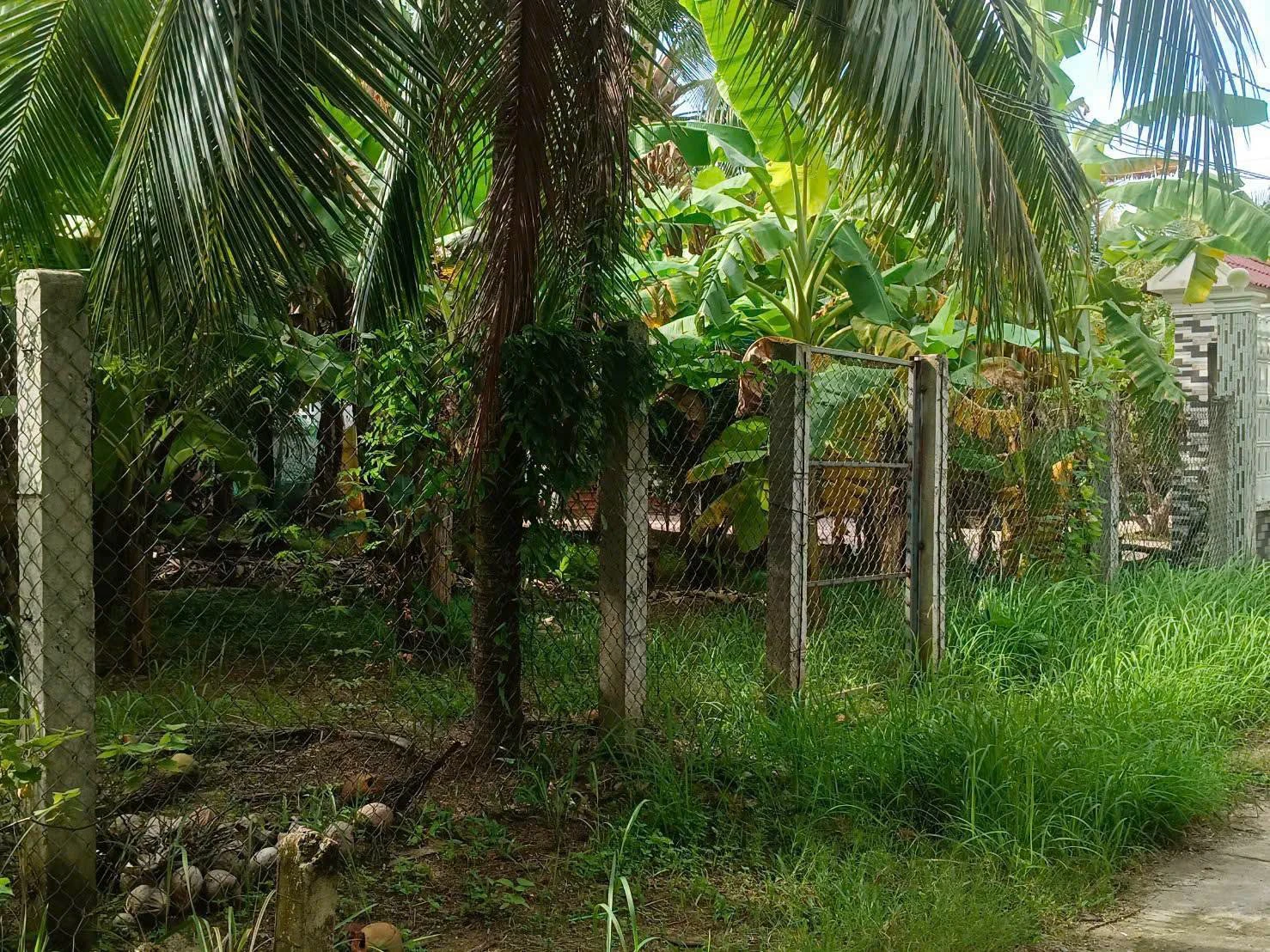 Bán đất gần 800m2 xã Phú An Hoà Châu Thành giá 1,9 tỷ - Ảnh 1