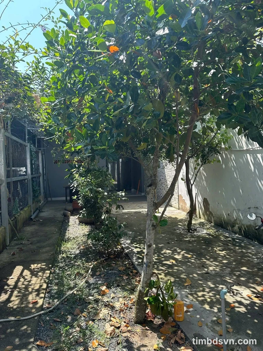 Cho thuê nhà nguyên căn 120m² 2PN Nhà Bè, 8 triệu/tháng - Ảnh 1