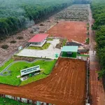 Bán đất mặt tiền Đường 35 Minh Thành 250m² chỉ 470 triệu - Ảnh thu nhỏ 5
