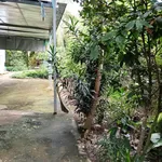 Bán đất khu công nghiệp Giao Long Vĩnh Long 813.9m² - Ảnh thu nhỏ 4