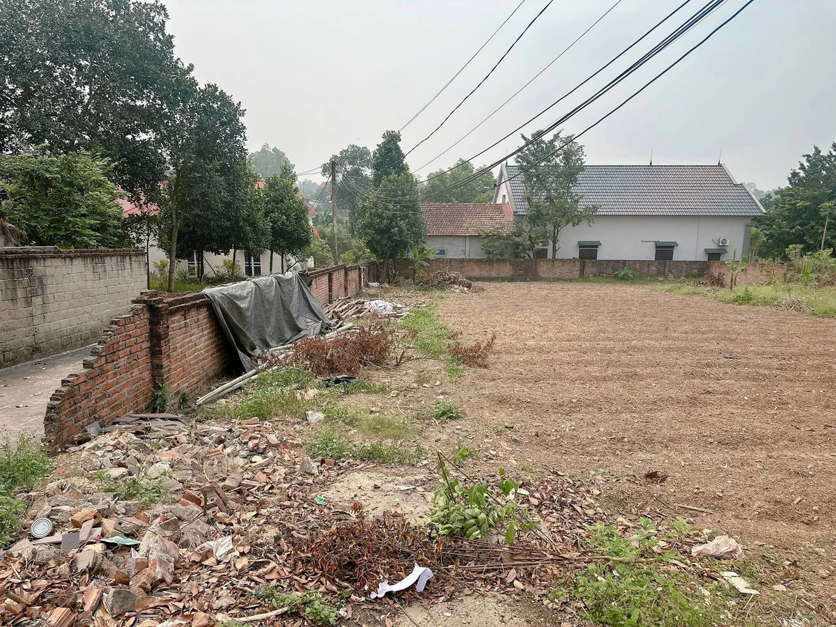 Bán lô đất 220m² mặt 8m Việt Trì - Ảnh thu nhỏ 4