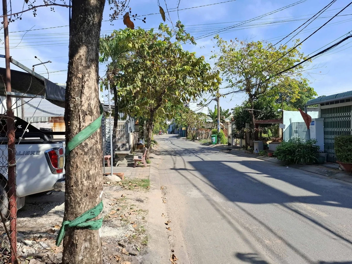 Bán nhà mặt tiền Xuân Thới Sơn 248 m² 7 tỷ Hóc Môn - Ảnh thu nhỏ 3