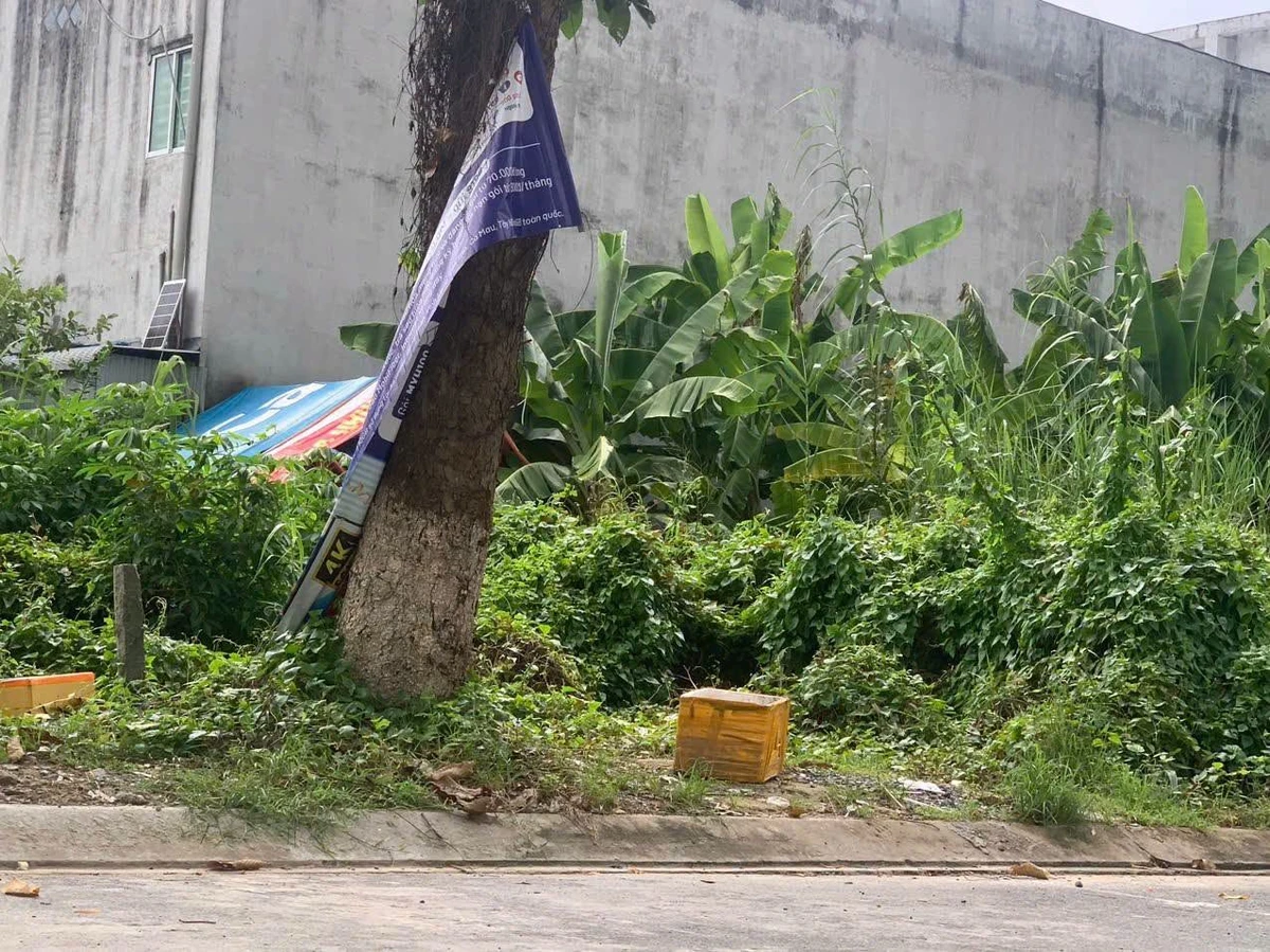 Bán đất 110m² đường số 15, Phường Bình Khánh, Long Xuyên - Ảnh thu nhỏ 2