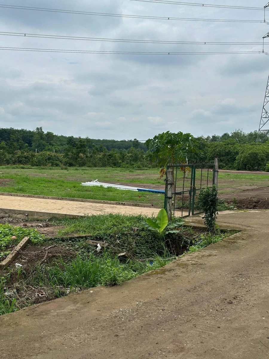Bán đất vườn 1000m² TP Đồng Nai chỉ 380 triệu - Ảnh thu nhỏ 4