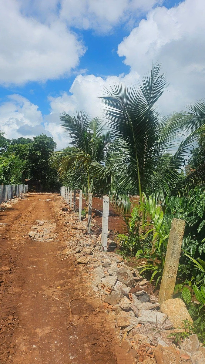 Bán đất nông nghiệp 500m2 Bình Mỹ 759 triệu - Ảnh thu nhỏ 2