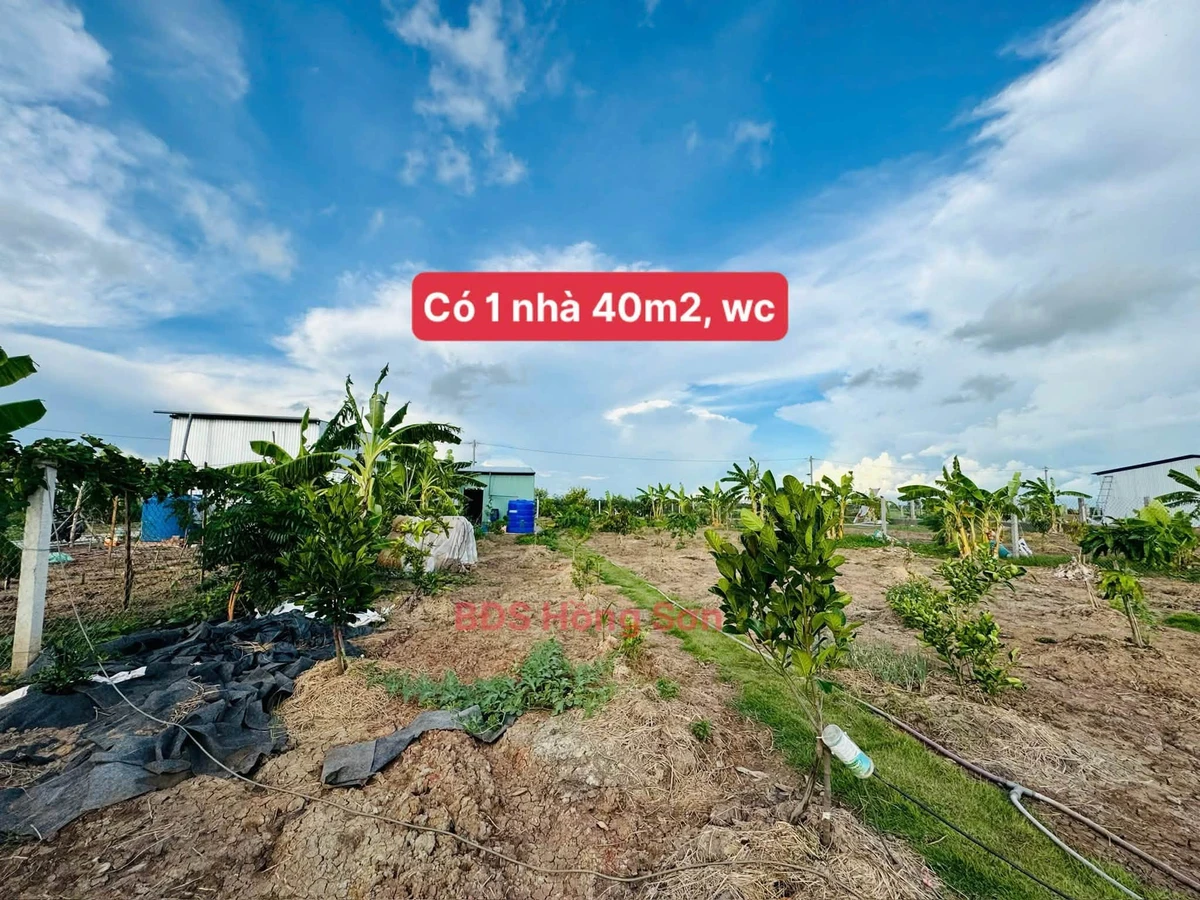 Bán đất vườn 2006m² Thạnh Lộc An Giang giá 1 tỷ 390 triệu - Ảnh thu nhỏ 3