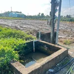 Bán đất nền 1.166m² Phước Tân Hưng, Tây Ninh - 750 triệu - Ảnh thu nhỏ 3