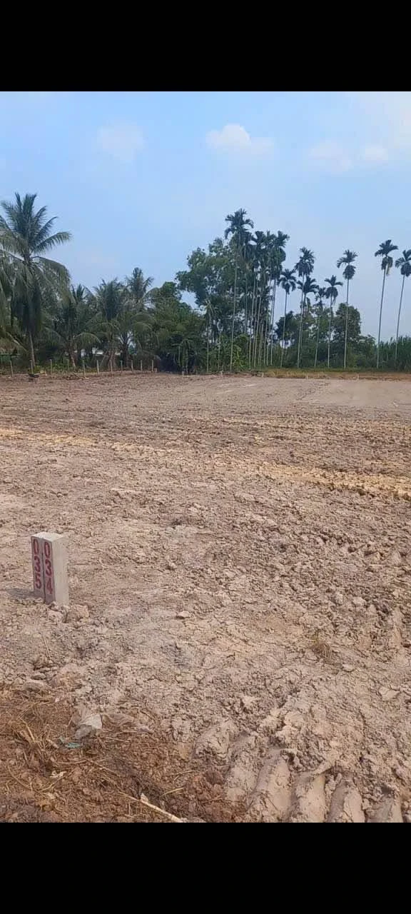 Bán đất 250m2 Tây Ninh 420 triệu - Ảnh 1