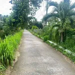 Bán đất Lương Hòa 4000m² mặt tiền nông thôn 800 triệu - Ảnh thu nhỏ 2