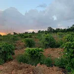 Bán đất 1,3 ha Xã Eaknop, Đắk Lắk, 1 tỷ 4 - Ảnh thu nhỏ 4