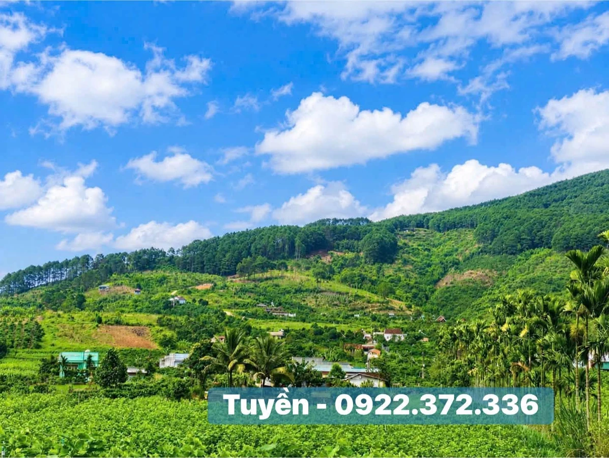 Bán đất view đồi thông Nam Ban Đà Lạt 350m² - Ảnh thu nhỏ 3