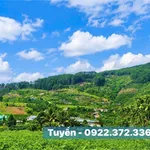 Bán đất view đồi thông Nam Ban Đà Lạt 350m² - Ảnh thu nhỏ 3