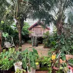 Bán villa mặt tiền Mai Xuân Thưởng, Buôn Ma Thuột, 300m² thổ cư, giá 14,5 tỷ - Ảnh thu nhỏ 4