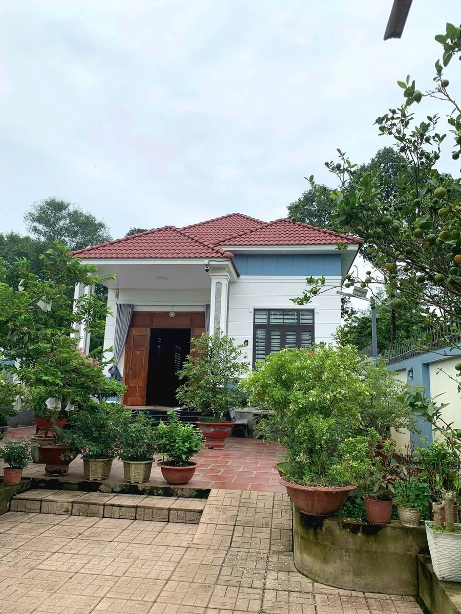 Bán nhà 3PN, 507m2, sân vườn, Trảng Bom, Đồng Nai - Ảnh thu nhỏ 4