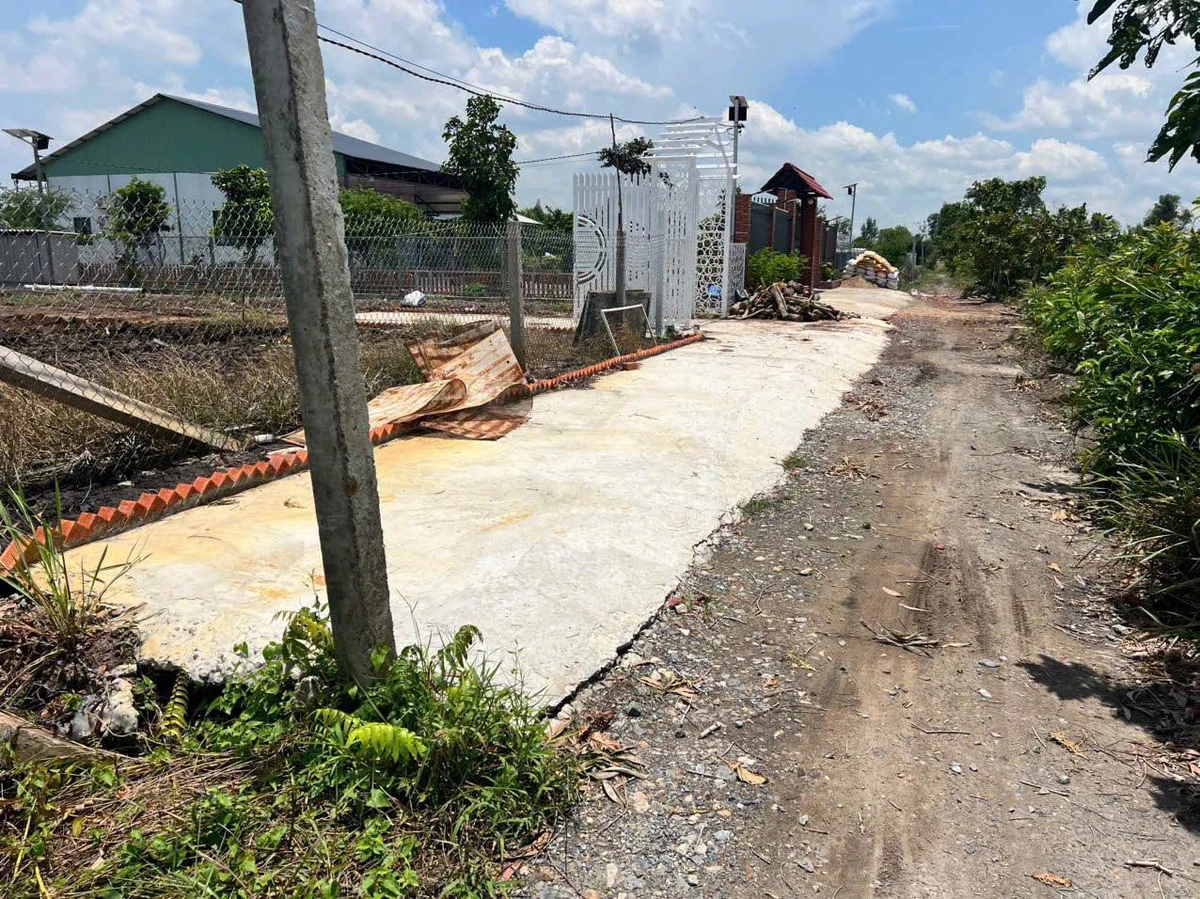 Bán 1 công đất vườn 850 triệu Bình Đức Bến Lức - Ảnh thu nhỏ 4