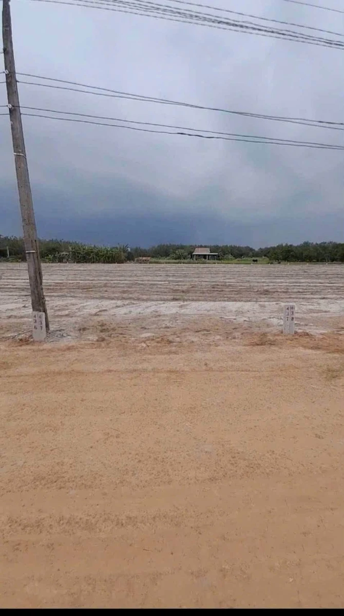 Bán nền đất 200m² giá 129 triệu Tân Bình Bình Chánh - Ảnh thu nhỏ 3