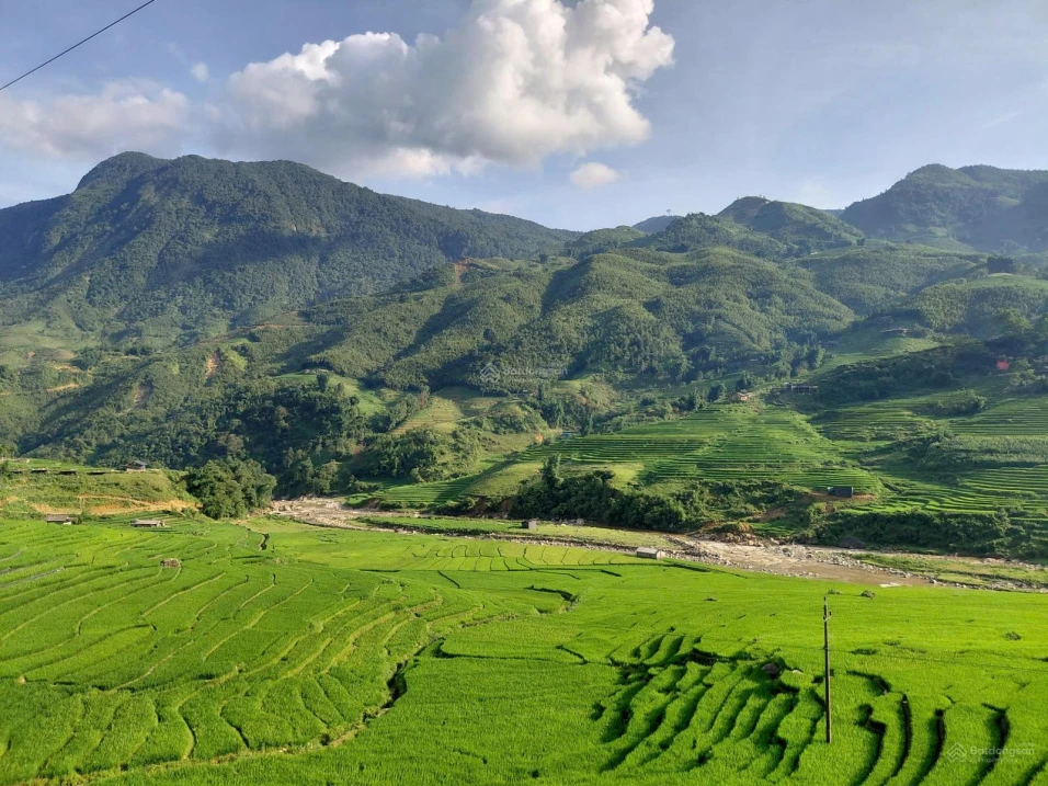 Bán đất tại Tả Van - Sapa, 3000 m2 có sẵn 1200 m2 thổ cư, mặt tiền 40m chỉ 16.5 tỷ - Ảnh thu nhỏ 2