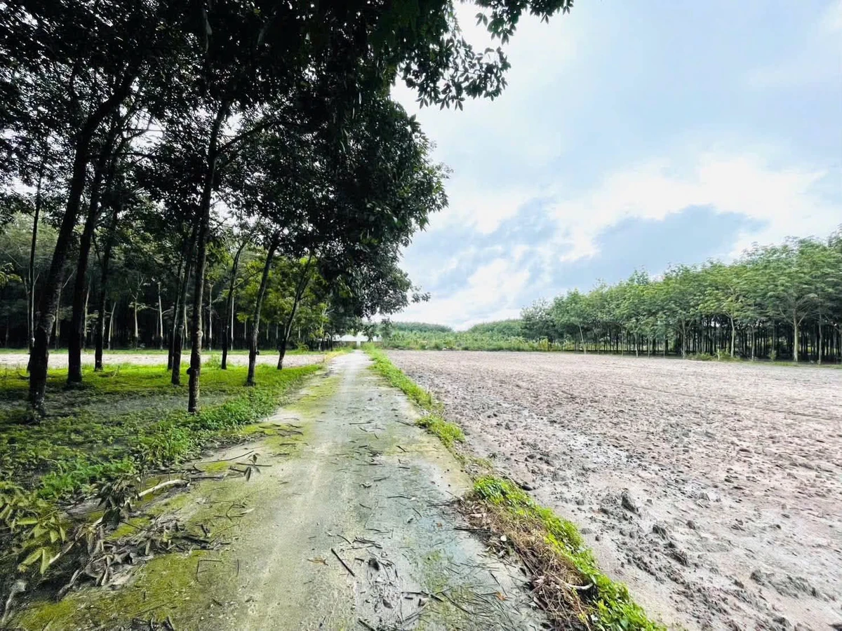 Bán đất 200m² Phường Minh Long 390 triệu - Ảnh 1