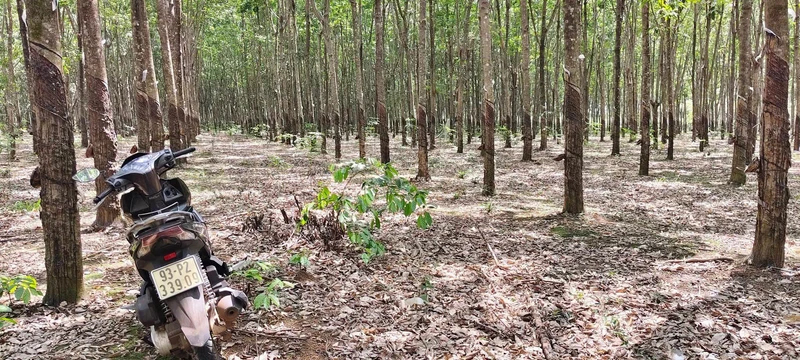 Bán đất 36,000 m² Đồng Phú, Đồng Nai, giá 1 tỷ