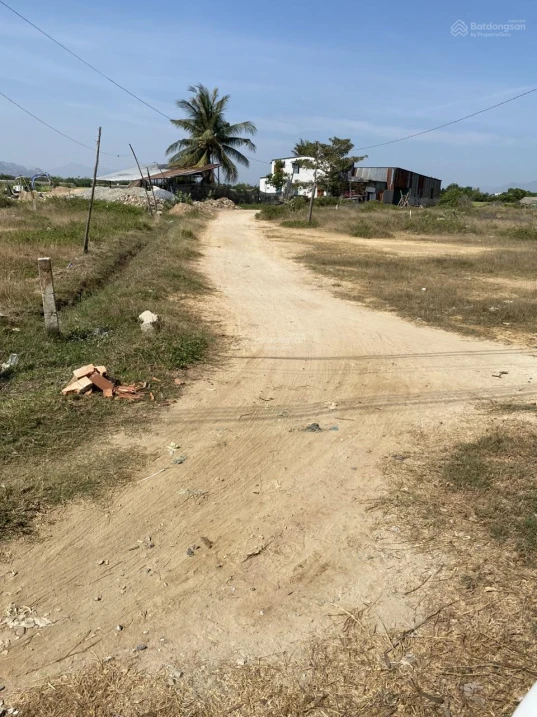 Chính chủ cần bán trọn gói cụm 3 thửa đất liền kề nhau, An Thạnh 2, Phước Dinh, Khánh Hòa - Ảnh thu nhỏ 5