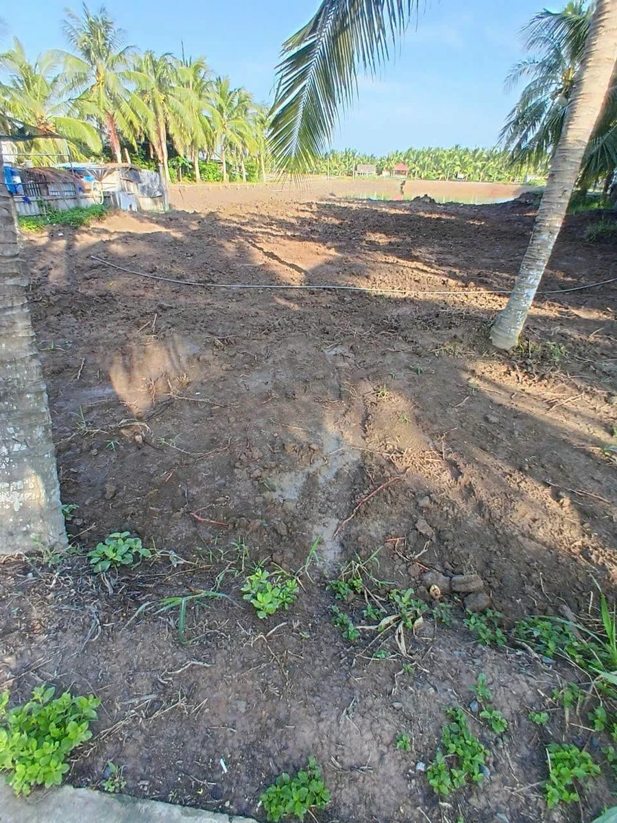Bán đất Quới Điền Bình Tân, 504m², 600 triệu - Ảnh thu nhỏ 2