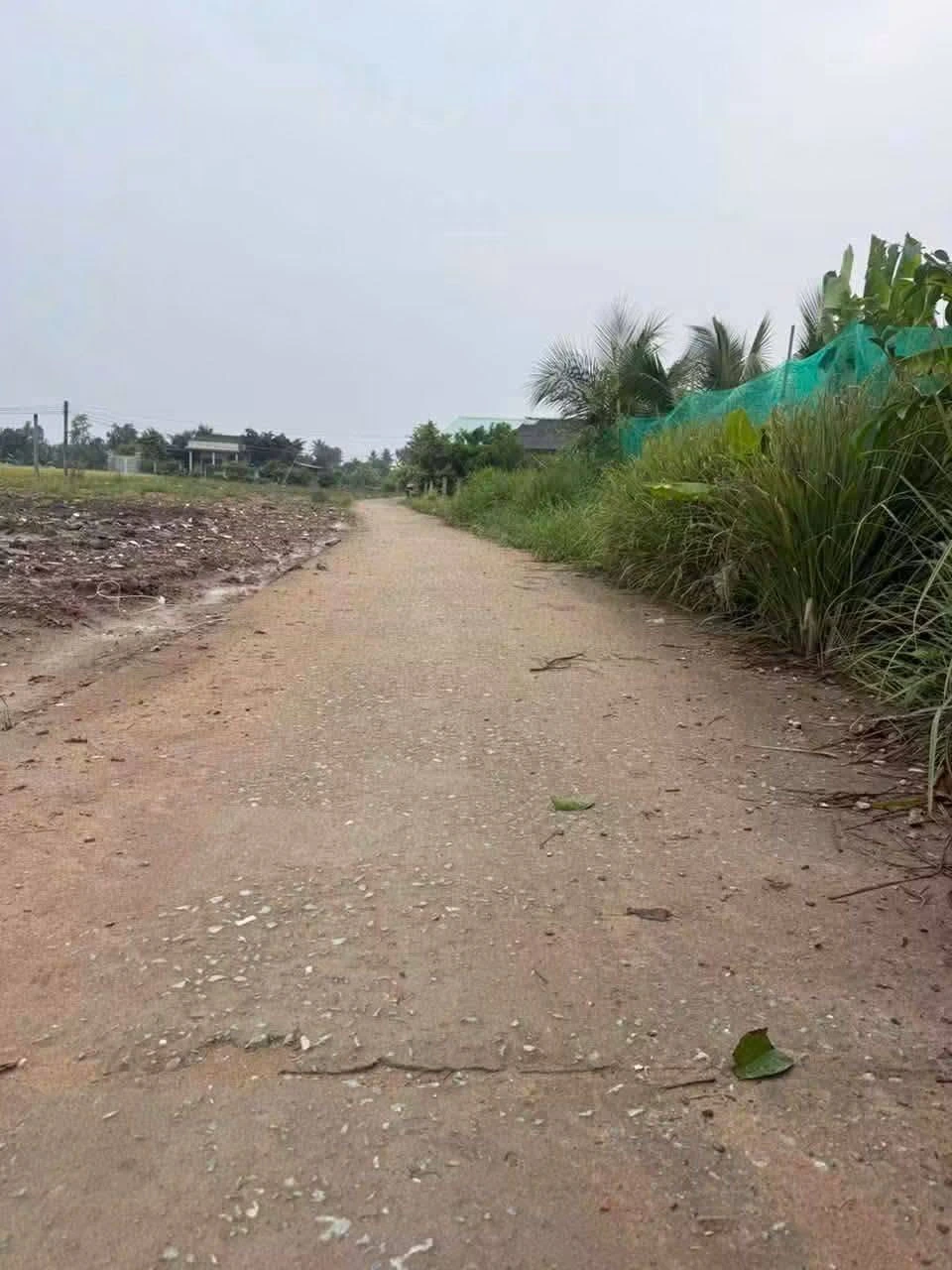 Bán đất nền 5x16.5m Tân Phú 259 triệu - Ảnh 1