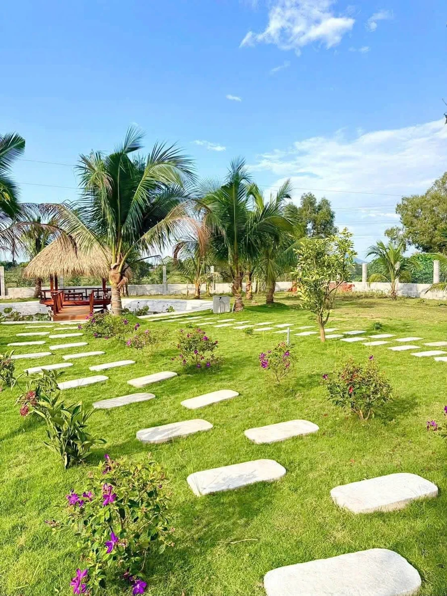 Bán vườn 1.600m² Hàm Chính Bình Thuận 1 tỷ 7 - Ảnh thu nhỏ 5