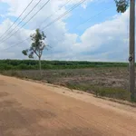 Bán đất Trà Tân Lâm Đồng mặt tiền 60m, 1 mẫu 4.5 tỷ - Ảnh thu nhỏ 3