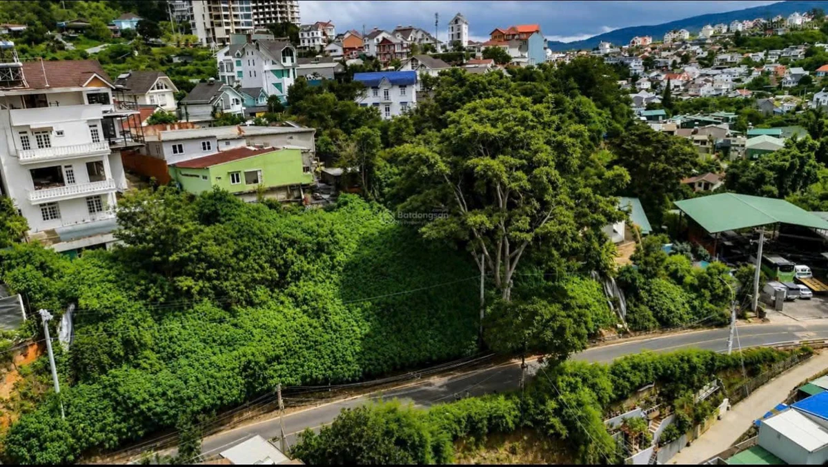 Bán đất mặt tiền Đống Đa, Đà Lạt 489m² 21 tỷ - Ảnh thu nhỏ 2