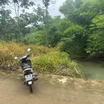 Bán 7ha đất nông nghiệp Phú Riềng Bình Phước 950 triệu/ha - Ảnh thu nhỏ 1