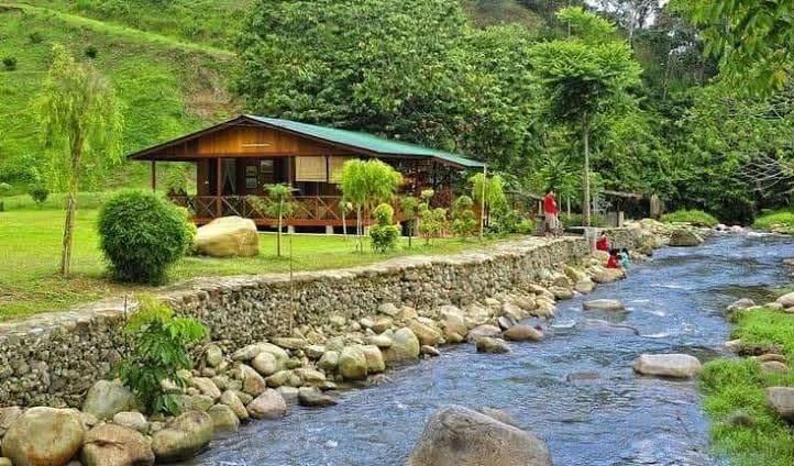 Bán nhà vườn 1000m² Nam Xuân Nam Đàn, view núi, bám suối
