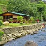 Bán nhà vườn 1000m² Nam Xuân Nam Đàn, view núi, bám suối - Ảnh thu nhỏ 1