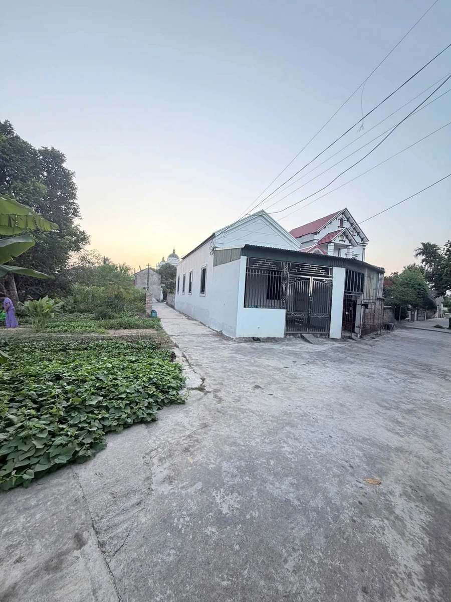 Bán đất 245m² thổ cư tại An Bình, Thanh Miện, Hà Đông - 1,2 tỷ - Ảnh thu nhỏ 2