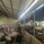 Bán đất Tây Hòa Cần Giờ 1100m2 1 tỷ 650 triệu - Ảnh thu nhỏ 2