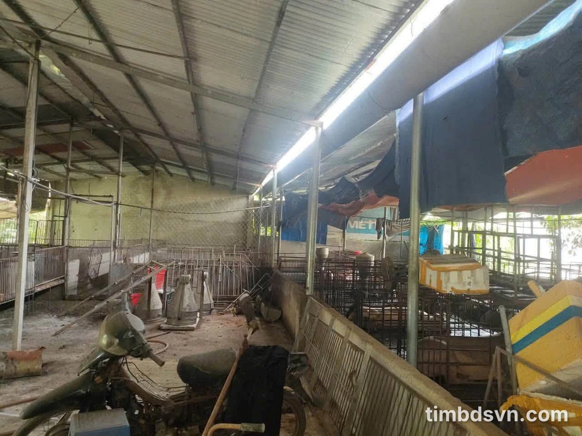 Bán đất Tây Hòa Cần Giờ 1100m2 1 tỷ 650 triệu - Ảnh thu nhỏ 2